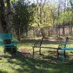 Back yard 2